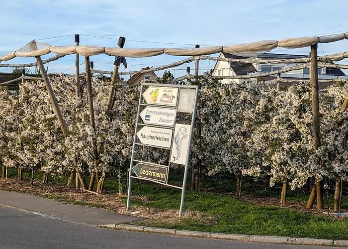 Daire Kinderlachen Wasserburg